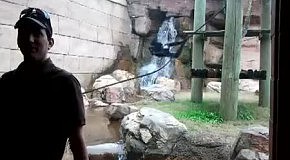 ��������� ����� ��������