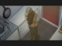 Paradice Kiss AMV