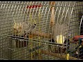 MOV05734