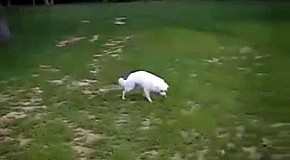 ����� ������ �� ������