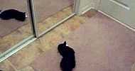 ��� � ������� :)