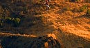 �������� ��������� (Freestyle motocross)