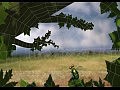 ���� / Irma (���������������)