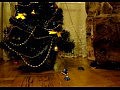 ��� ������� ����� ������� � ����