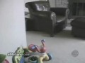 ����� ����������� �����������))