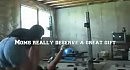 ����  ������
