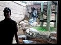 ��������� � �������� ������ ���� ��������...