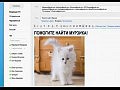 Google Chrome - �������