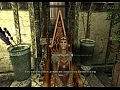 ����������� The Elder Scrolls V: Skyrim 153 ����� (���������)