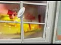 ������ ������� �����