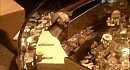 ���������: ��� ��� ��������? / Discovery: How its made?����� 2 ����� 3(����������, ����, ������� ������, ������)