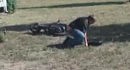 ������� ������ �� ��������� �������