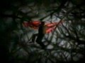 Red Hot Chili Peppers - Otherside