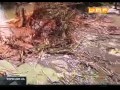 �������� ��������� ������������� ������