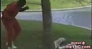 �������� ��������� ������� � ������