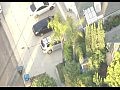 ����� ������� ����� ����������� �� ������