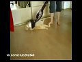 �������� ���� ���������