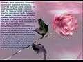 Lara Fabian - Je t'aime ������