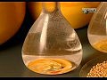 ���������: ��� ��� ��������? / Discovery: How its made?����� 3 ����� 7(�������, �������, ����� � �����,��������� ������)