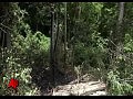 ������ Jackass ����� ���� (Ryan Dunn) ����� � ��������������