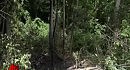 ������ Jackass ����� ���� (Ryan Dunn) ����� � ��������������