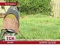 ������� �������