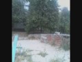������� ��������� ����))