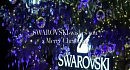 �������������� ���� �� SWAROVSKI � �����