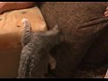 ����� + �����  [������� 320x240 MPEG4 MP4]