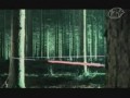 Apocalyptica feat Sandra Nasic - Path