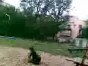 ������