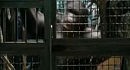 ��������� ������� / Rise of the Planet of the Apes (������� 2)