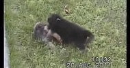 �������� �������� �������  �������