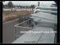 ����� ���������� ������������ � �����