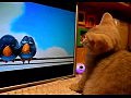 ����� ������� ������� Pixar