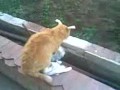 ���-���� =)