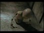 Tool - Prison Sex