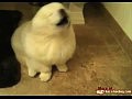 ������ � �������