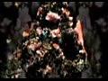 Bjork - To Lee, With Love, Nick