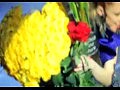 ����������� ������� ���������� ������ ���� ������ �����