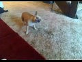 ����������� ������� ���� ���� �� �������� ���������