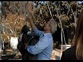 House S08E04