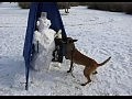 ������ ����������� ��� ���������� �����