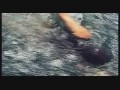 ����� ��������� - ��� ������