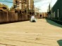 nfs