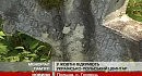 Курс валют в польщі