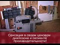 HAMMER A331����������-����������� ������