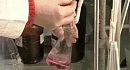 �� ���� ������ ������������ � �����-�������� �������� ���� �� ���������� ���������� - ��������