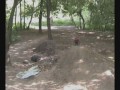 Snickers playgroung