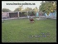 �������� ������� ���� ������